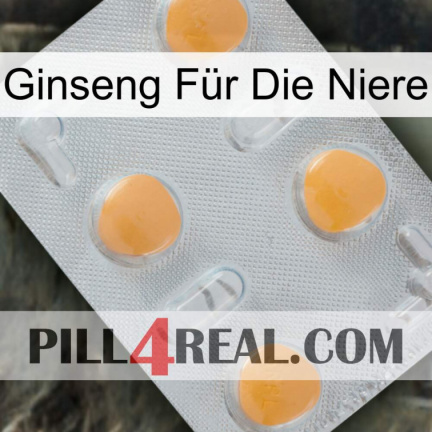 Ginseng Für Die Niere 24